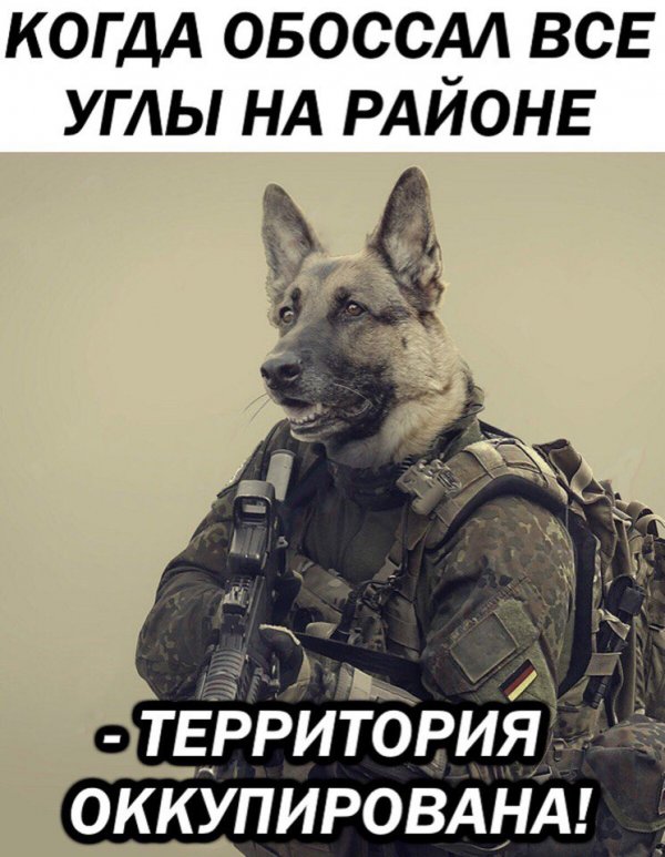 Приколы в стиле "регресс"