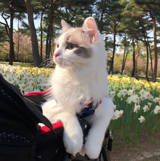 Немного милоты