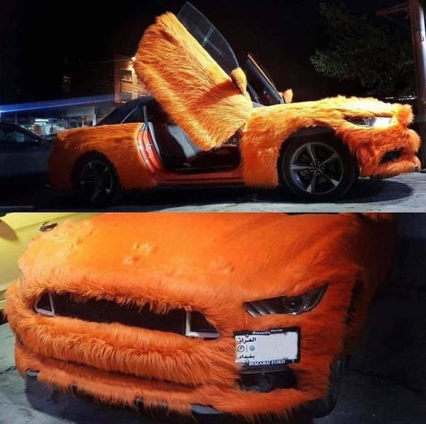WTF: что тут происходит?