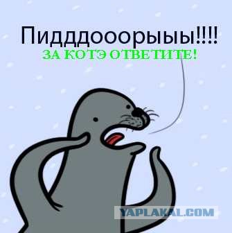 Вырвалась из лап садистов