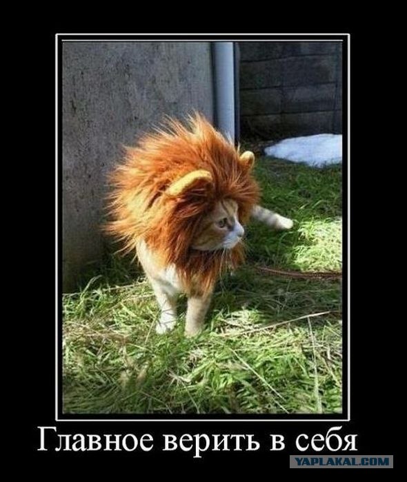 Я лев!