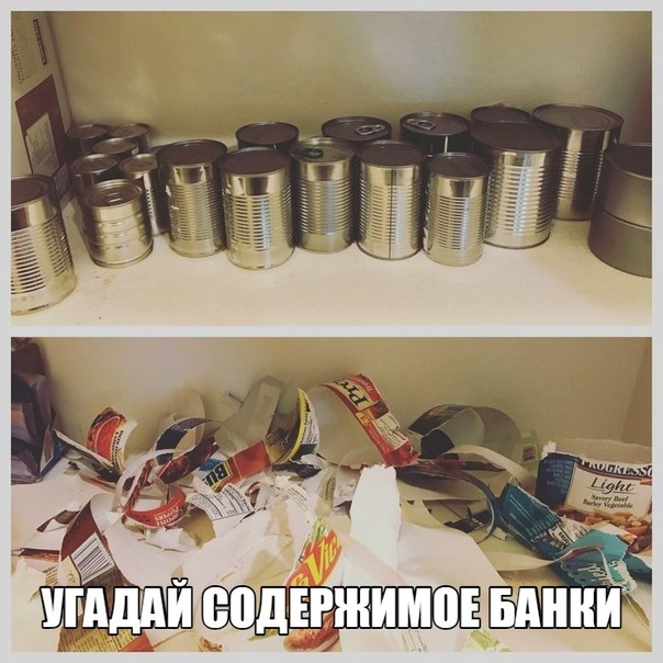 Анекдоты, соц-сети и картинки с надписями