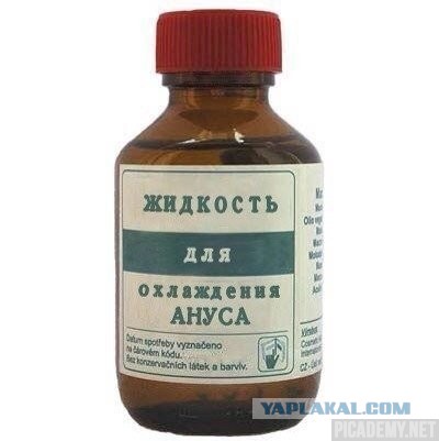 В Исакиевском соборе 23 февраля спели про бомбежку Америки