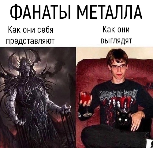 103 картинки для поднятия настроения!