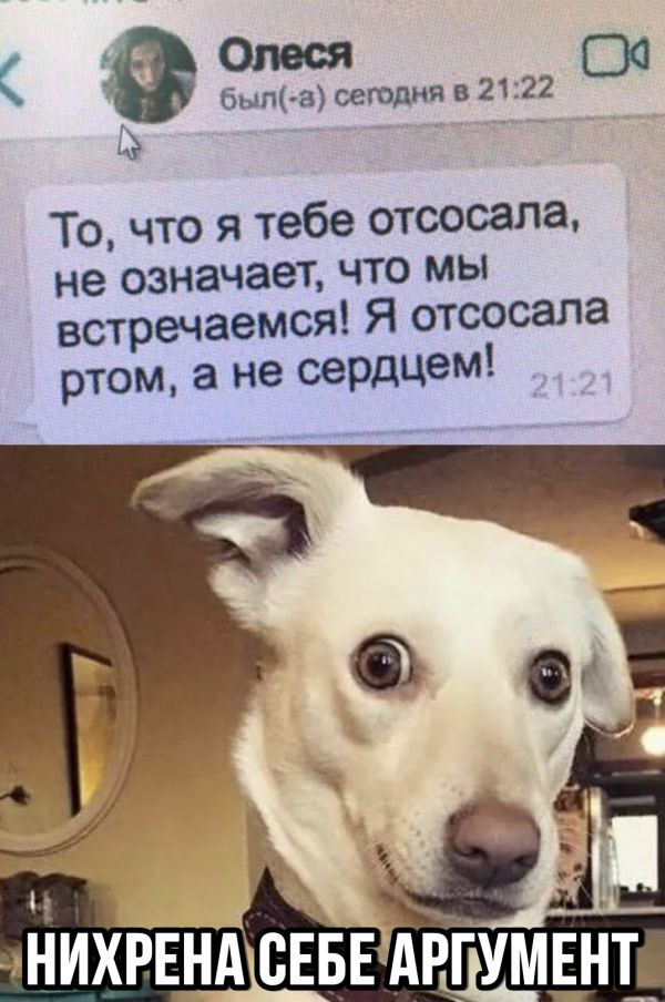 Картинки с надписями и анекдоты