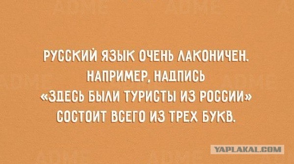 Русский язык может свести с ума даже тех, кто знает его с рождения