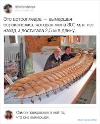 Как я знакомилась на сайте знакомств
