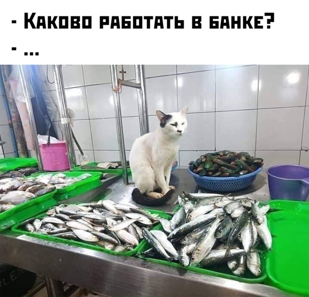 Пара-пара-пам! Фьють. Картинки с надписями 24.02.20