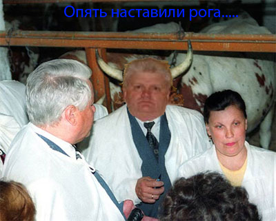 Анкета с сайта знакомств