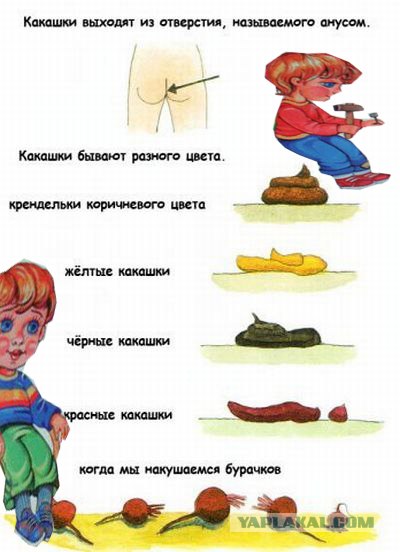 Вот оно как на самом деле!