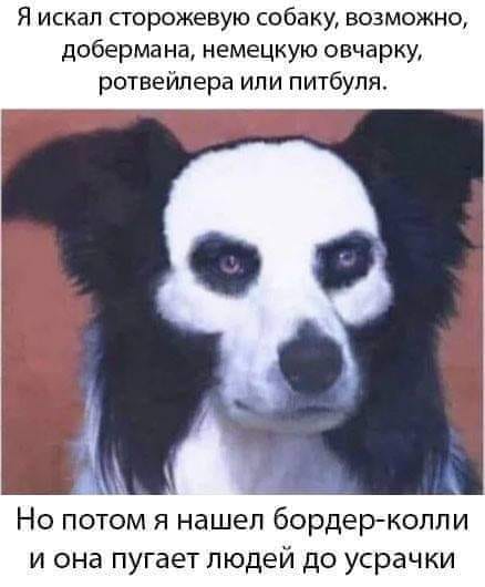 Картинки разнообразные. На злобу дня и на доброту (27.08)