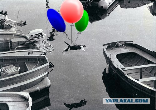 Фотожаба: Полет Барсика