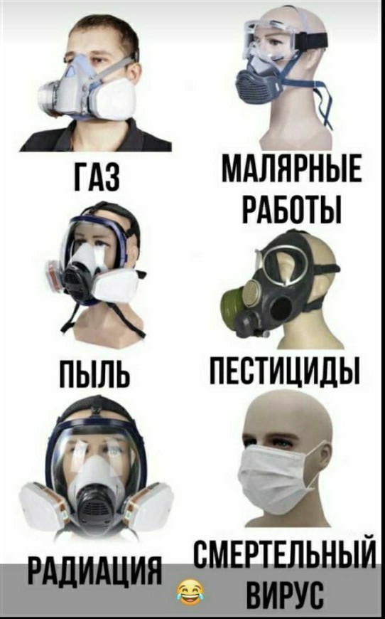 В Швеции власти запретили носить маски. Подводим итоги