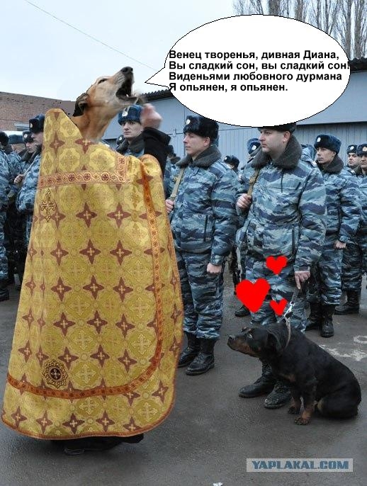 Во имя отца, сына....