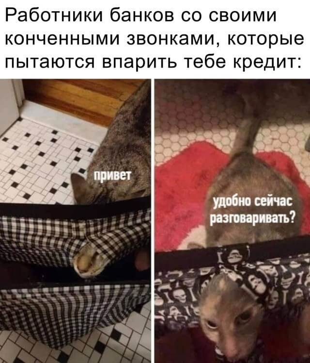 Картинки разнообразные. На злобу дня и на доброту (26.11)