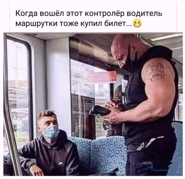 Картинки с надписями фразы и анекдоты