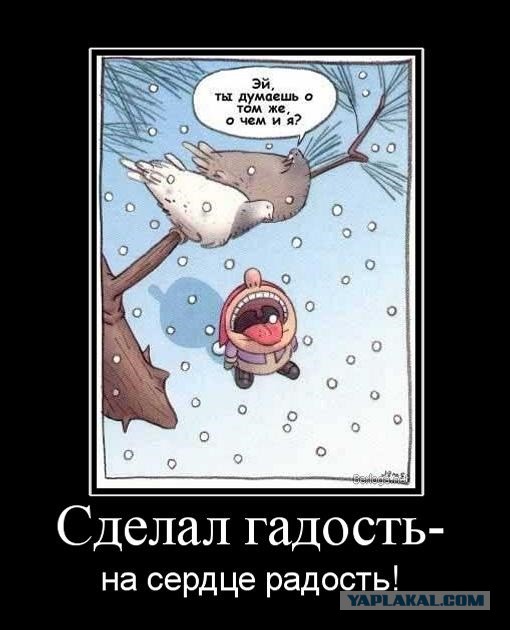 Картинка какая мерзость