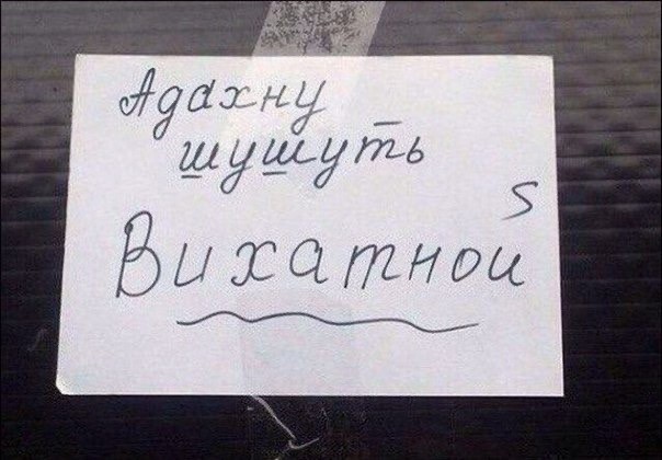 Весёлый полтишок 4.03
