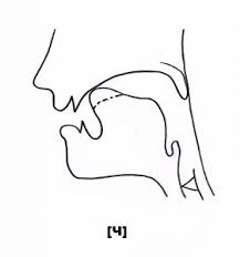 На злобу дня. Что, кроме чешского пива, можно запретить?
