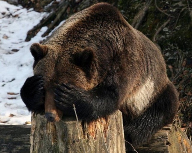 Таксист бизнес-класса набросился на девушку в Питере