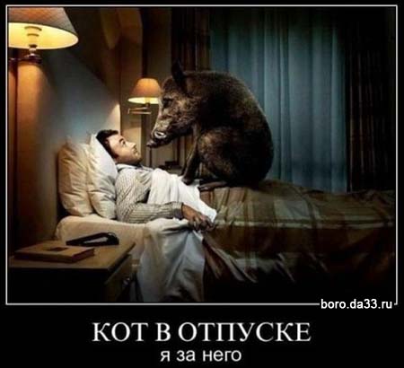 Пандемия. Коронавирус. Россия и мир. Последняя информация. Часть 23