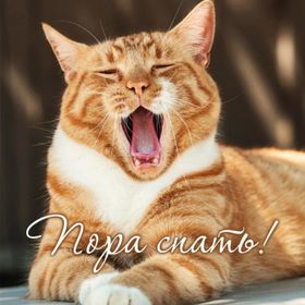 Пандемия. Коронавирус. Россия и мир. Последняя информация. Часть 23