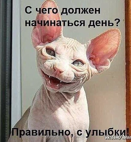 Изображая радость