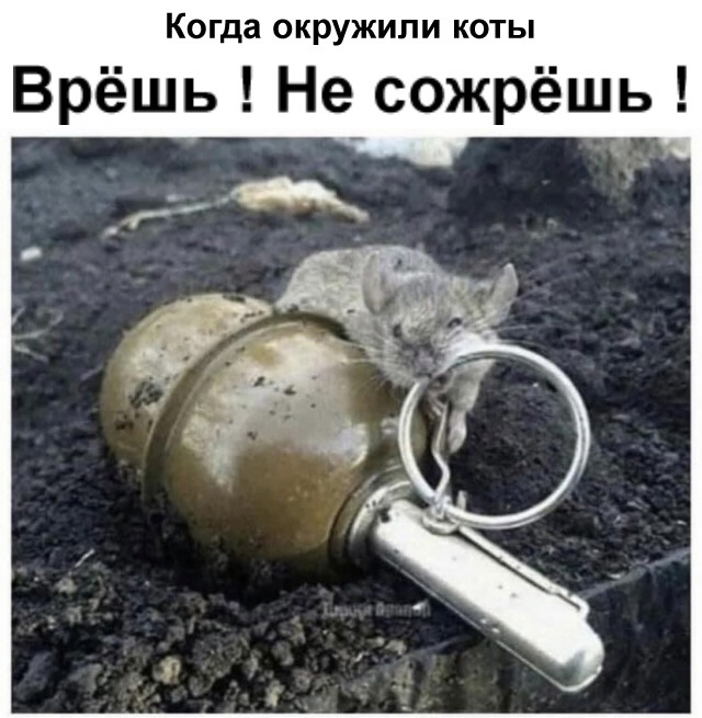 Картинки и мемы, всем прекрасных выходных