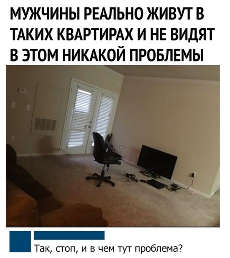 Всяческие картинки 12.01.2022
