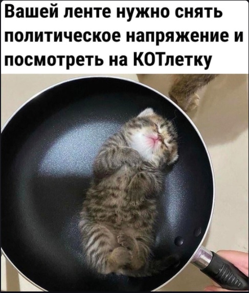 Картинки с надписями и всякие жизненные фразы