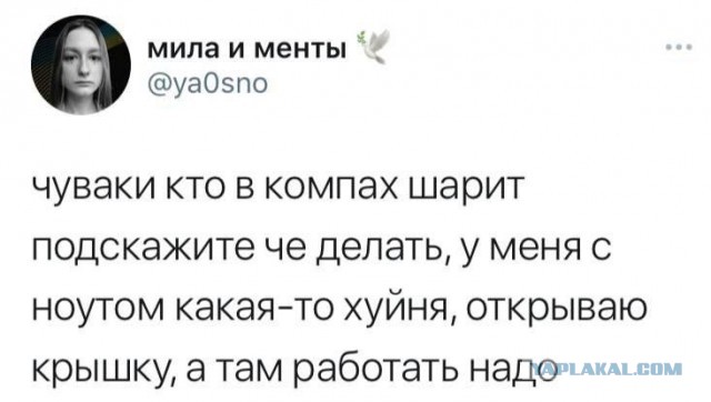 Пятница. Вечер. Картинки всякие #12