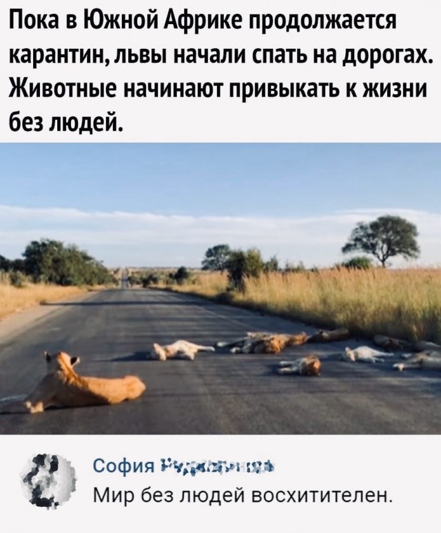 Немного картинок."Колбасный ветер". Август