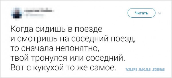 Картинки и мемы для настроения - 111