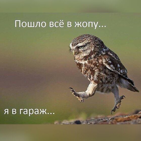 Ищу любовницу для мужа