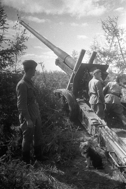 Фотографии второй мировой, многие цветные (фото)