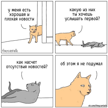 Победная поступь идиотизма по планете – том 4