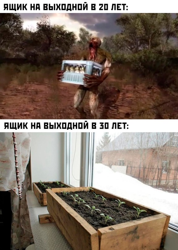 Весёлый полтишок 28.02.23