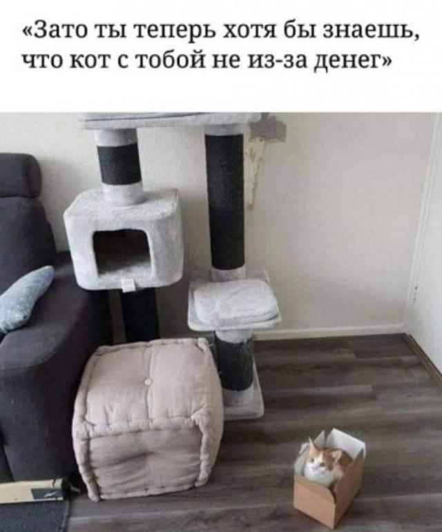 Картинки и мемы, всяко разно - 179