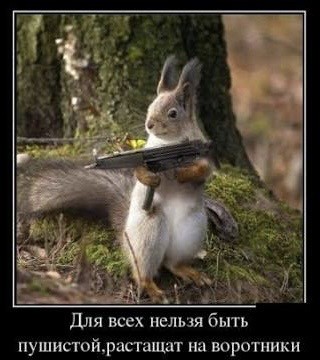 Народная меДИЧина 4005