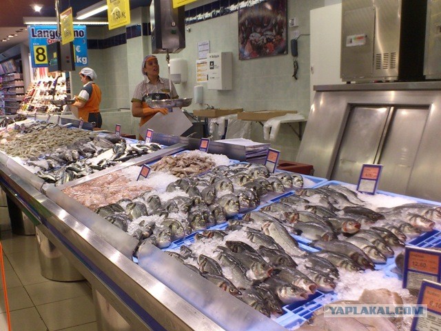 Рынок Бокерия