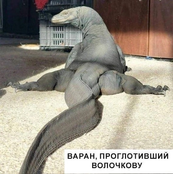 На Анастасию Волочкову пожаловались в полицию из-за шпагата у советского истребителя Ла-5 времён войны