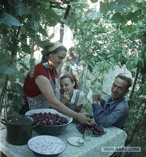 Фотографии из прошлого нашей страны - 39