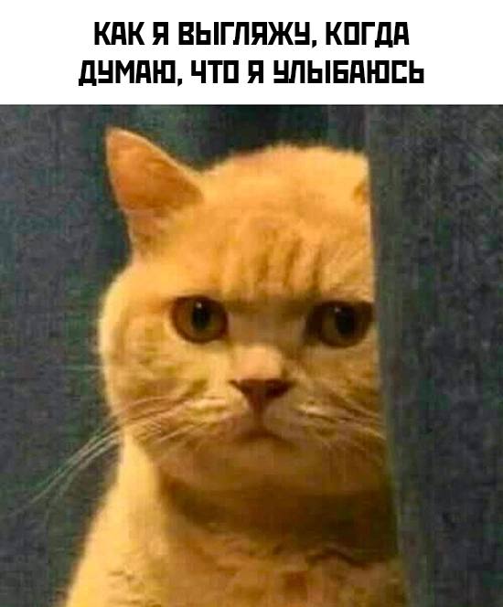 Ахтунг! Баянинг!
