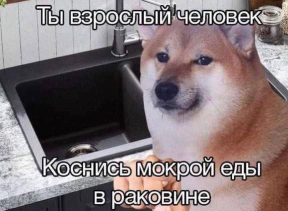 Так себе картинки 30.08.24