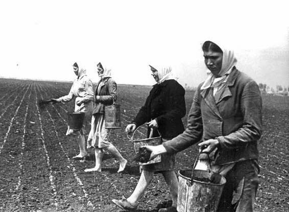 Из-за чего Хрущев на 12 лет запретил фильм про счастливую жизнь советских колхозников «Кубанские казаки»