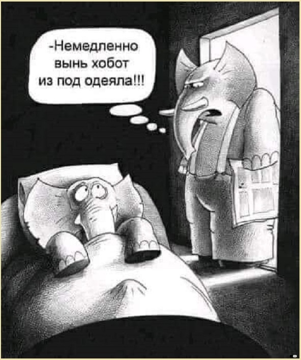 Картинки разные с надписями и без