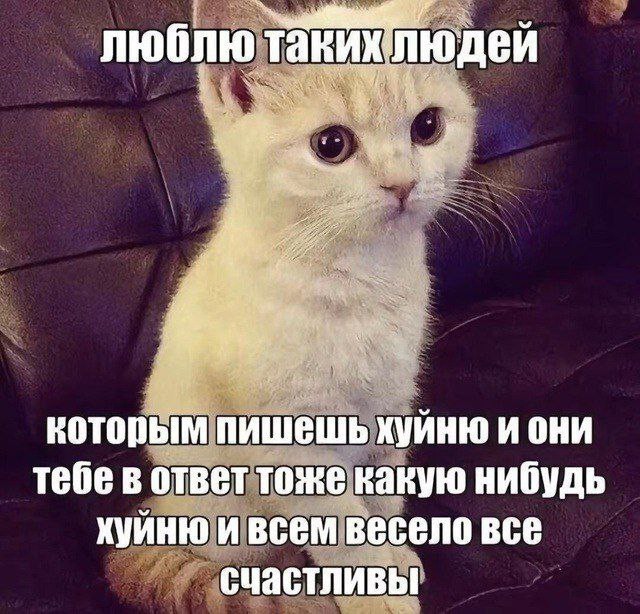 Всего понемногу. От 05.01.2025