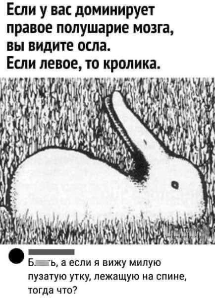 Так себе картинки 18.03.25