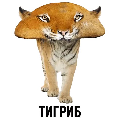 Укуренные картинки