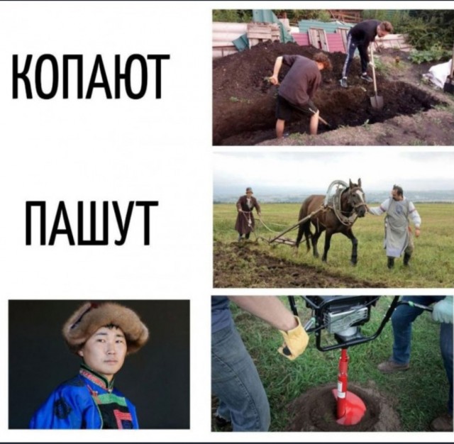 Юмор для тех, кто уже повзрослел и понял, что выходные — это миф
